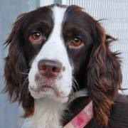 Nancy Lind Photo 15 Nancy Lind Photo 15