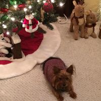 Charlotte Keys Photo 9