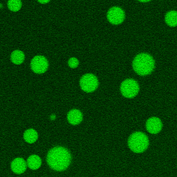 Kathleen Burke Photo 17 Kathleen Burke Photo 17