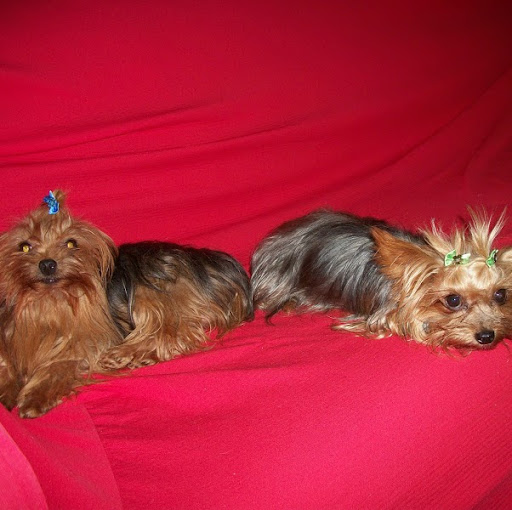 Mary Maciel Photo 11