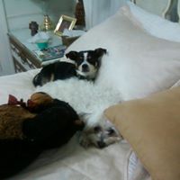 Cynthia Dougherty Photo 14