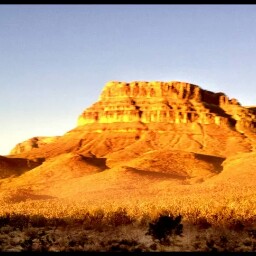 Rick Mccormick Photo 8