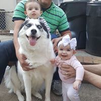 Christine Adamo Photo 19