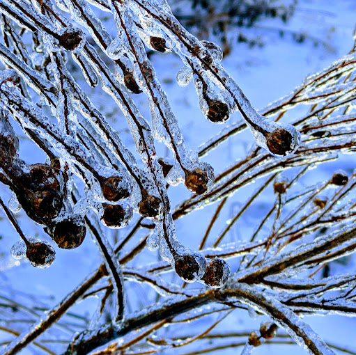 Mike Stuart Photo 20