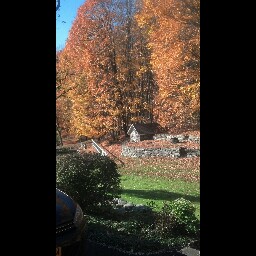 Janet Harden Photo 32