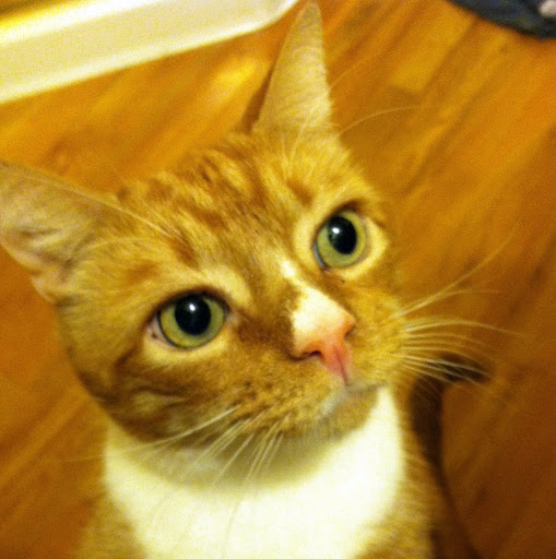 Amy Redding Photo 14