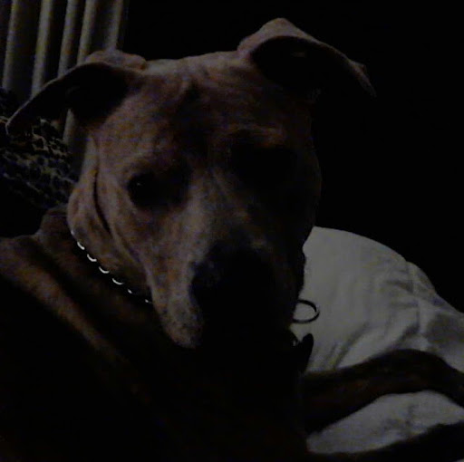 Tracey Paige Photo 18