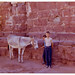 Mark Carlson Photo 26