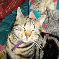 Jo Mcgregor Photo 17