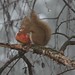 Eileen Sharp Photo 26