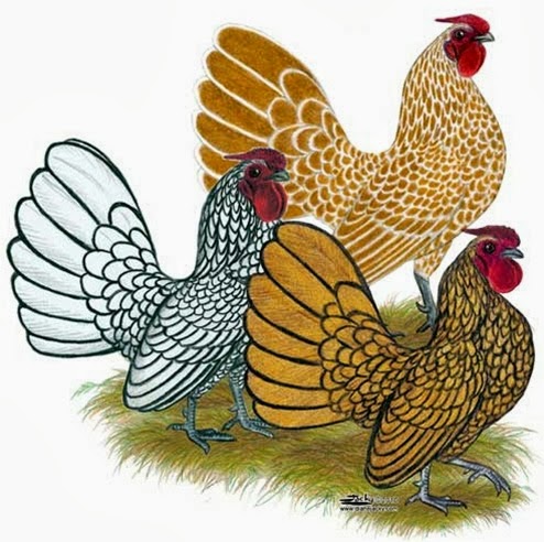 Thomas Preston Photo 50 Thomas Preston Photo 50