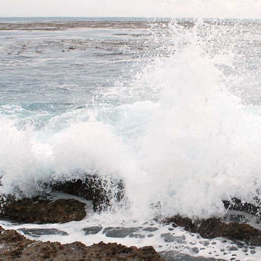 David Reaves Photo 31