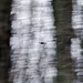 Dan Maclaughlin Photo 4