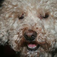 Mona Duncan Photo 13