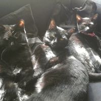 Mary Albert Photo 11