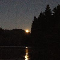 Sarah Finkelstein Photo 25