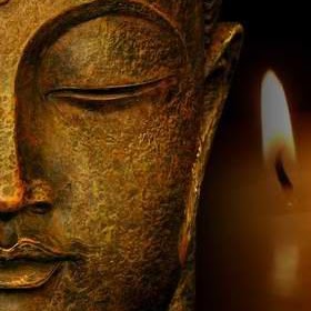 Kathy Carter Photo 17