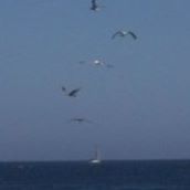 Julia Olivera Photo 3