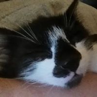 Kate Peters Photo 33