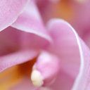 Rachael Simon Photo 18