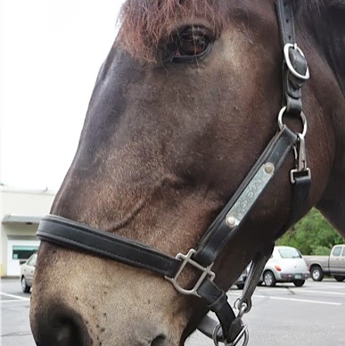 Cindy Burke Photo 24