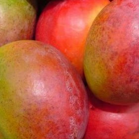 Amy Friedman Photo 20