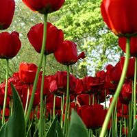 Haydee Segovia Photo 4