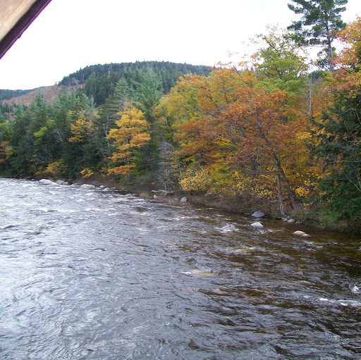 Sherry Cameron Photo 8