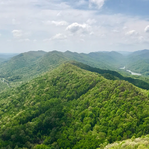 Dana Pierce Photo 18