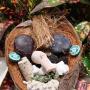 Debra Olson Photo 29