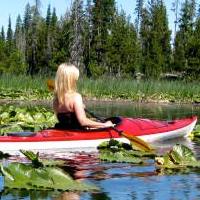 Susan Goodman Photo 12 Susan Goodman Photo 12