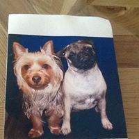 Janet Norman Photo 16