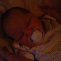 Paula Lancaster Photo 12