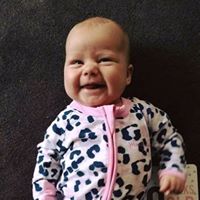 Steve Willis Photo 16