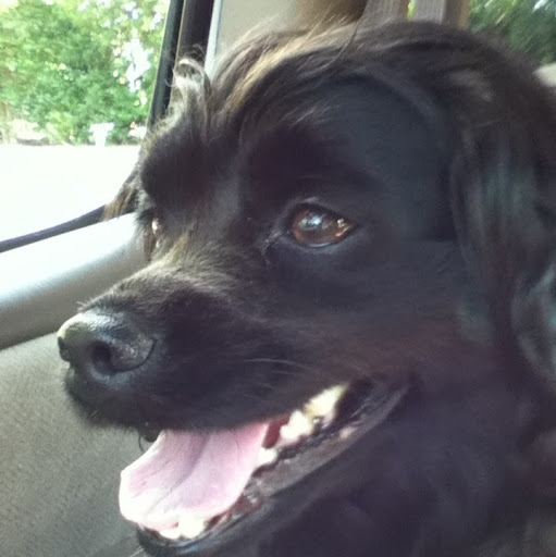 Elizabeth Lawson Photo 9