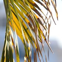 Hannah Weber Photo 17