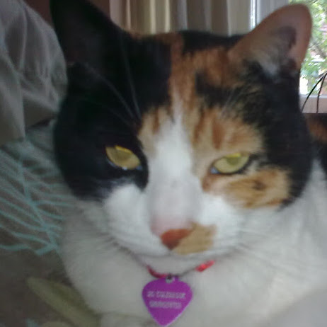 Julia Brennan Photo 34