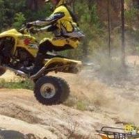 Robert Hedges Photo 46