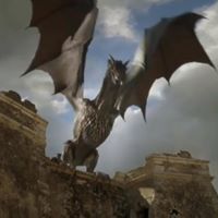 Patrick Reimer Photo 21