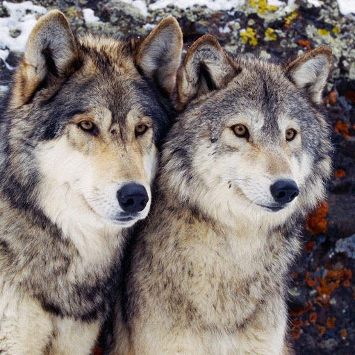 Jacob Cross Photo 18