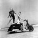 Don Roberson Photo 35