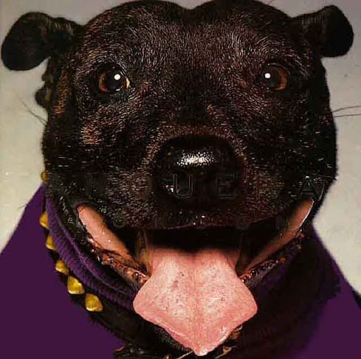 Walter Watts Photo 29