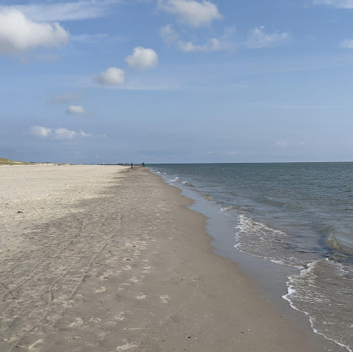 Stephanie Israel Photo 18