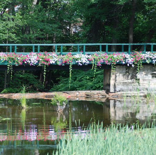 Richard Katz Photo 28