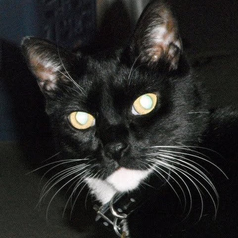 Christina Barbour Photo 7