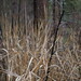 John Shields Photo 57