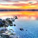 Dawn Ward Photo 17