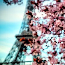 Susan Doyle Photo 13