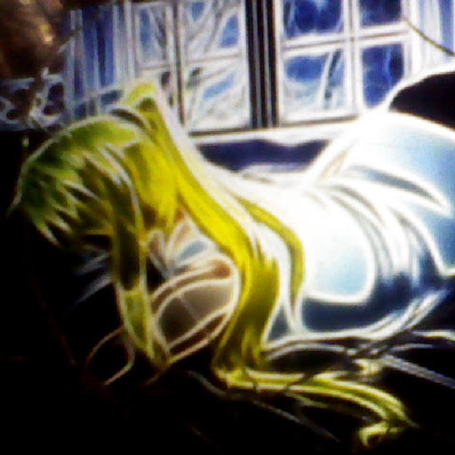 Joann Morgan Photo 15