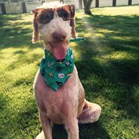 Philip Nichols Photo 35 Philip Nichols Photo 35